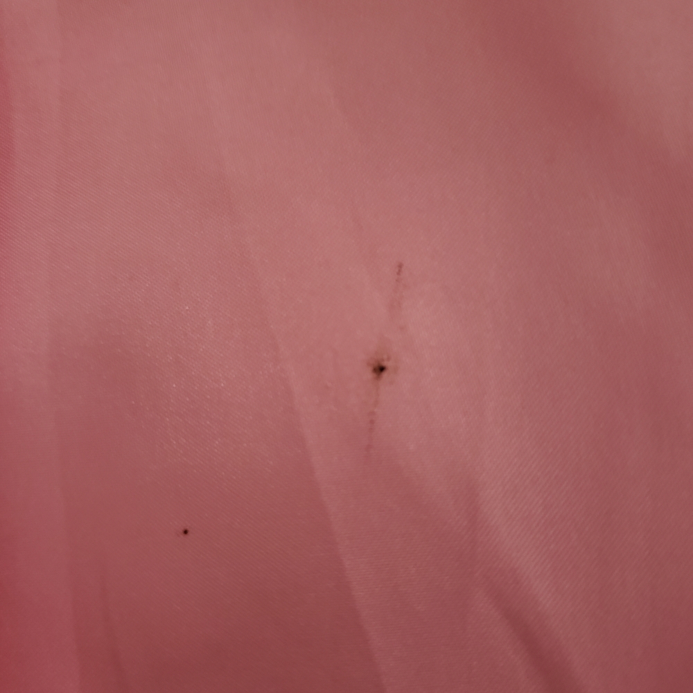 Forever 21 Pink Teddy Jacket - Picture 8 of 10